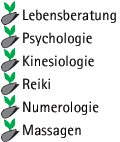 Lebensberatung Psychologie Kinesiologie Reiki Numerologie Massagen
